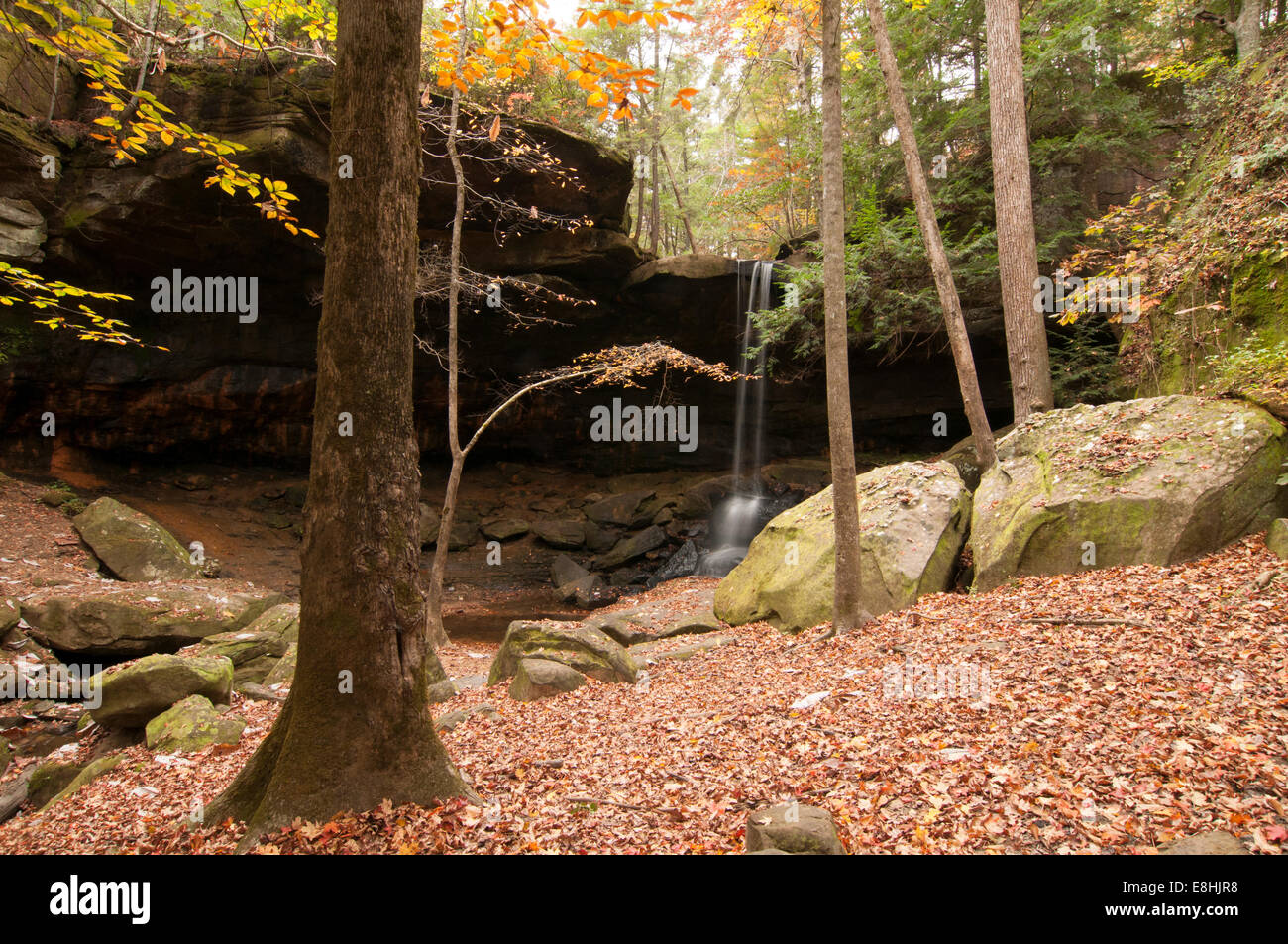 A small waterfall in the Sipsey Wilderness in Bankhead National Forest