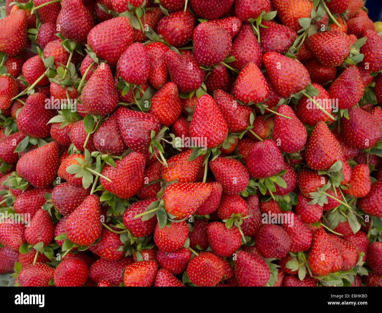 Lots of fresh strawberries  background  on summer Stock Photo