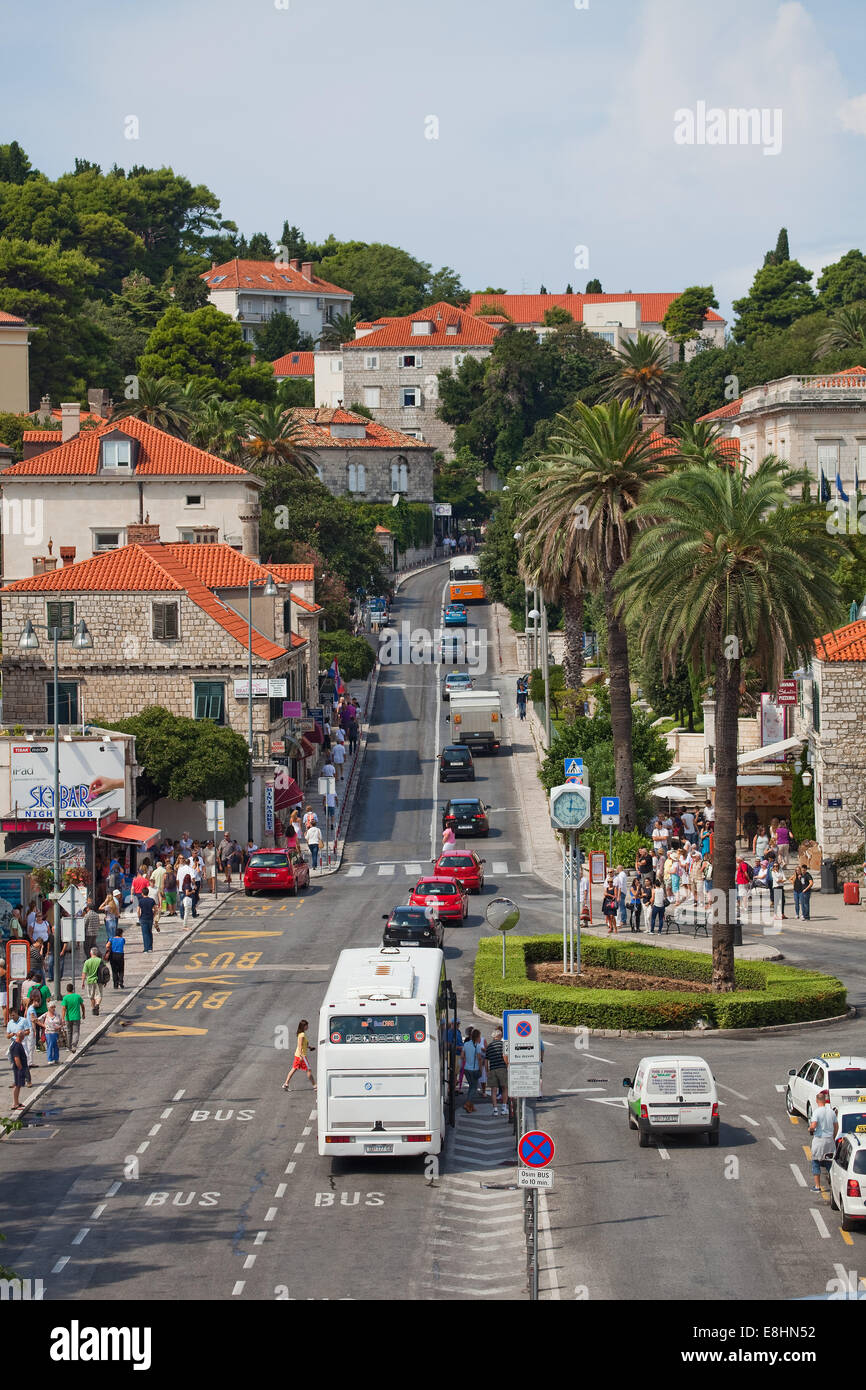 Dubrovnik,in Croatia main street where tour buses drop off heir passengers,lined with Palm trees