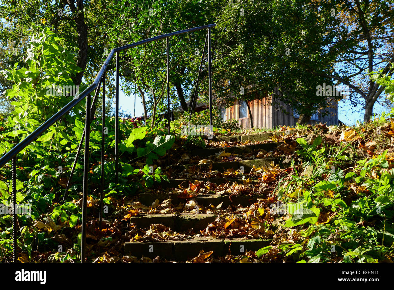 Stone staircase leading to a house Stock Photo