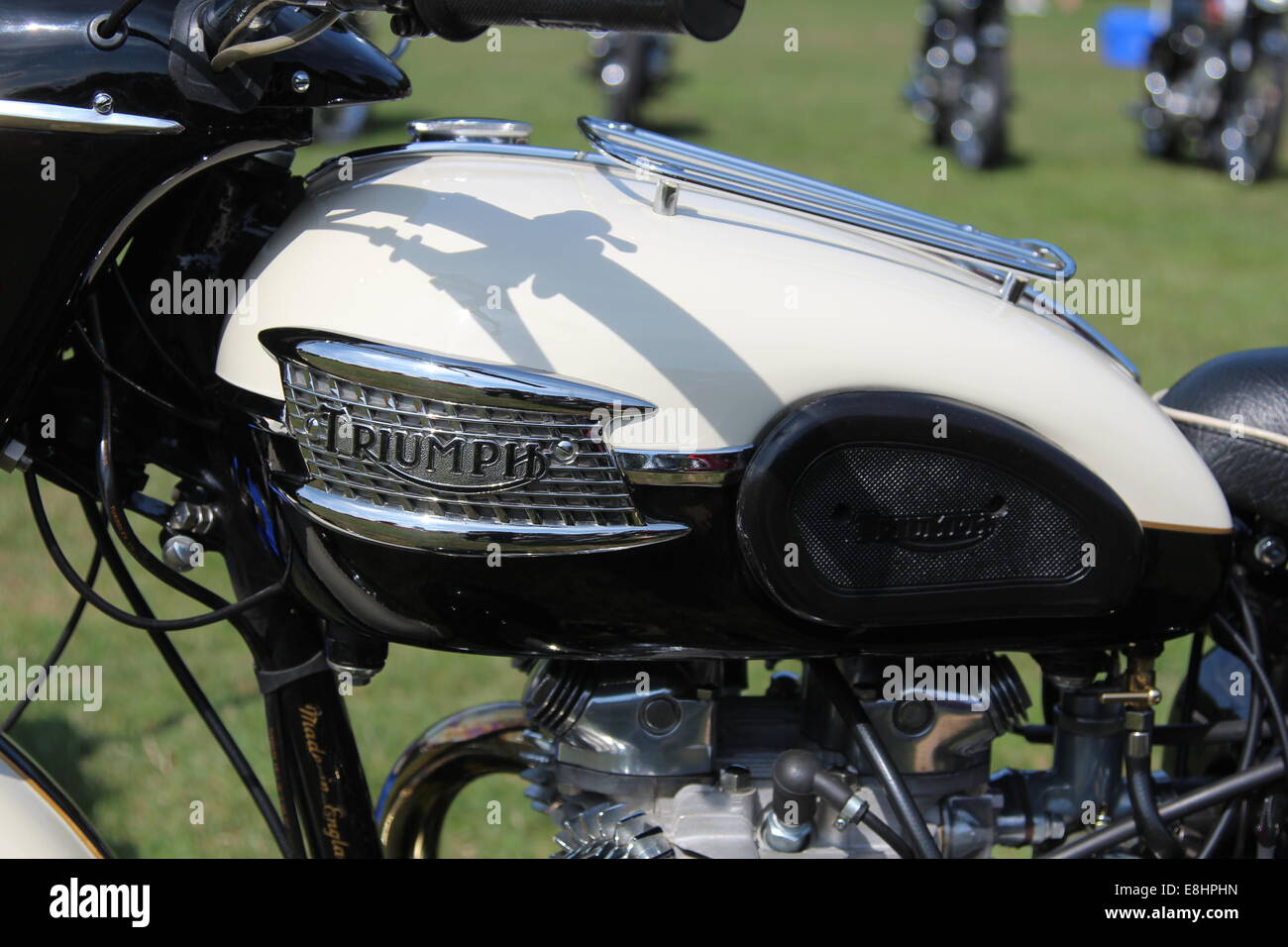 Petrol tank of a Triumph motorcycle Stock Photo Alamy