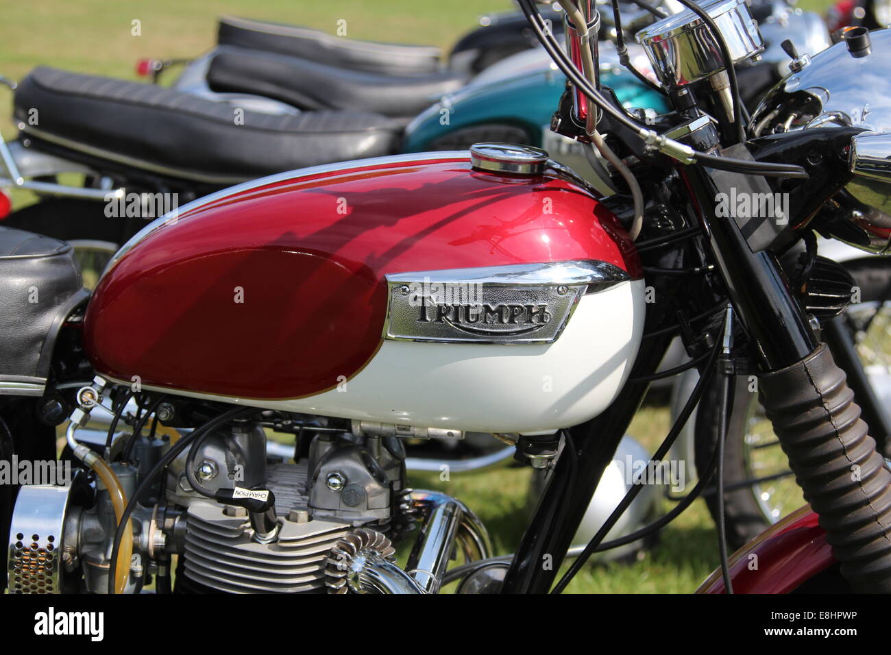 Petrol tank of a Triumph motorcycle Stock Photo Alamy