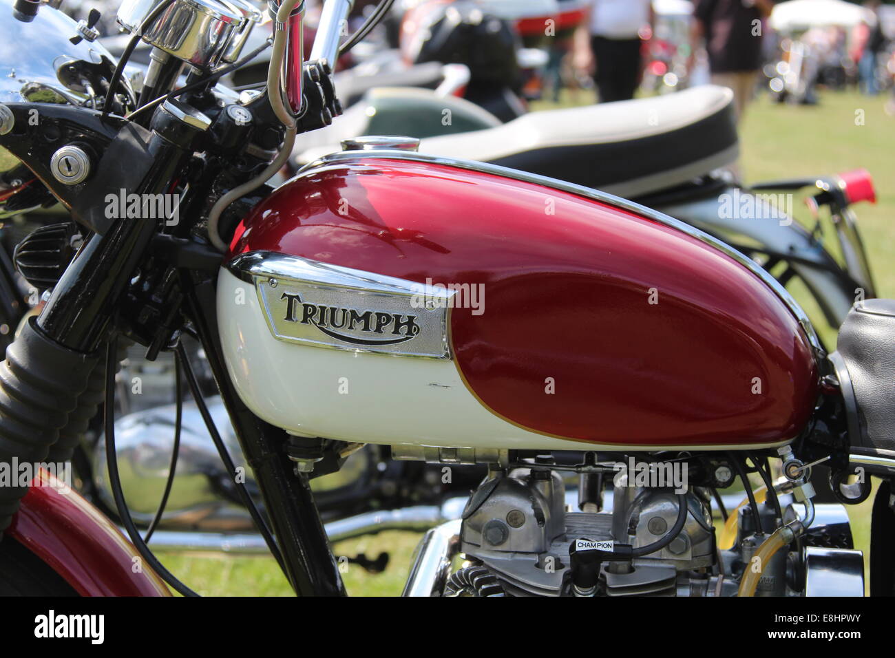 Petrol tank of a Triumph motorcycle Stock Photo Alamy