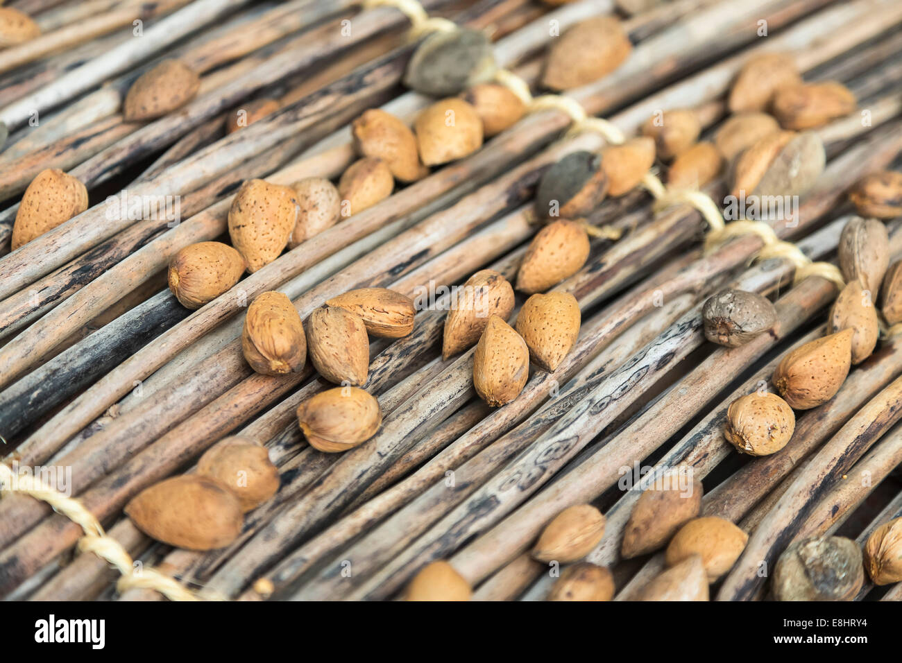 almonds being dried in the sun in the traditional way Stock Photo