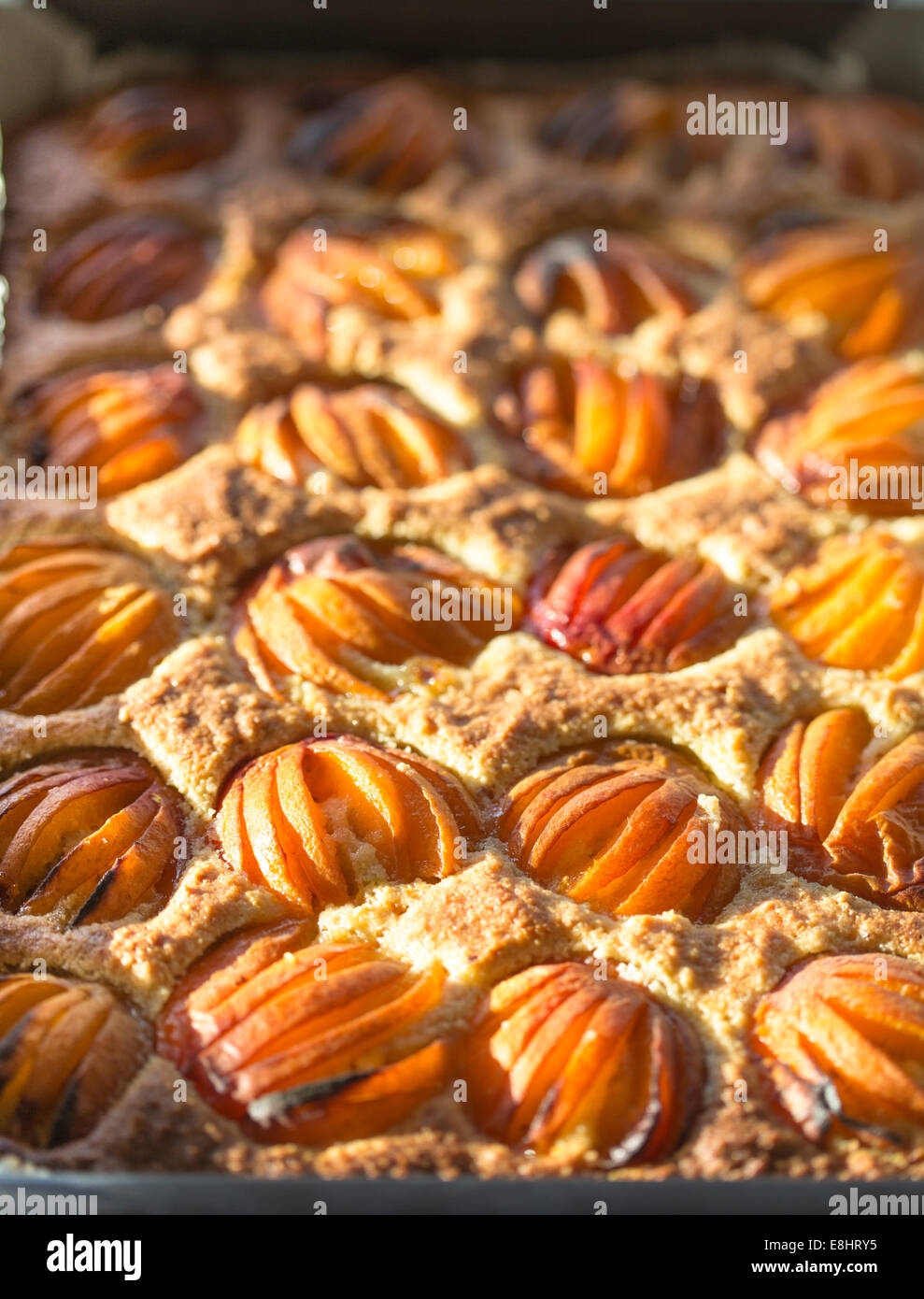close up of apricot squares fresh from oven. Stock Photo