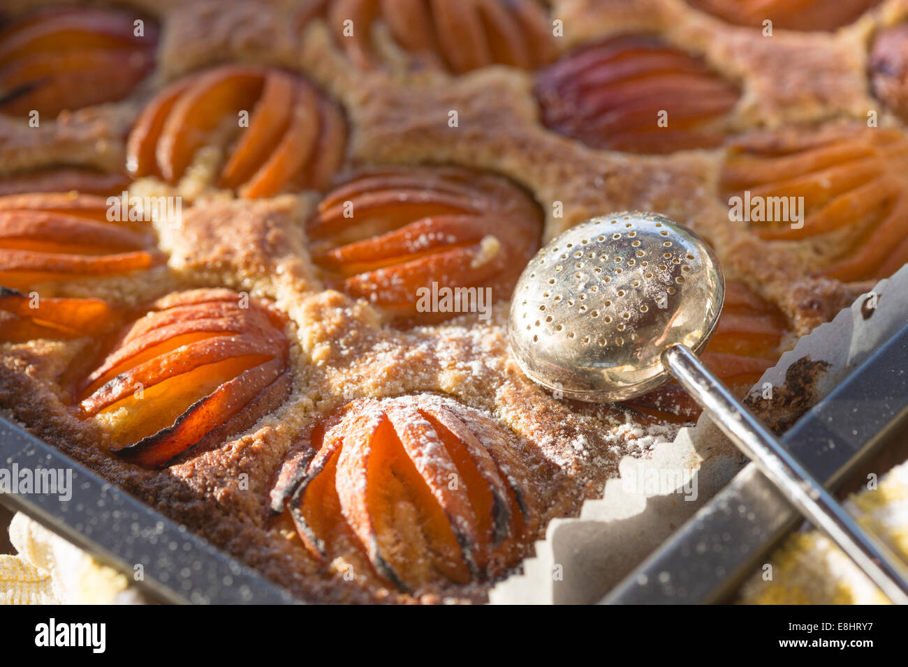 apricot squares about to be dusted with icing sugar Stock Photo