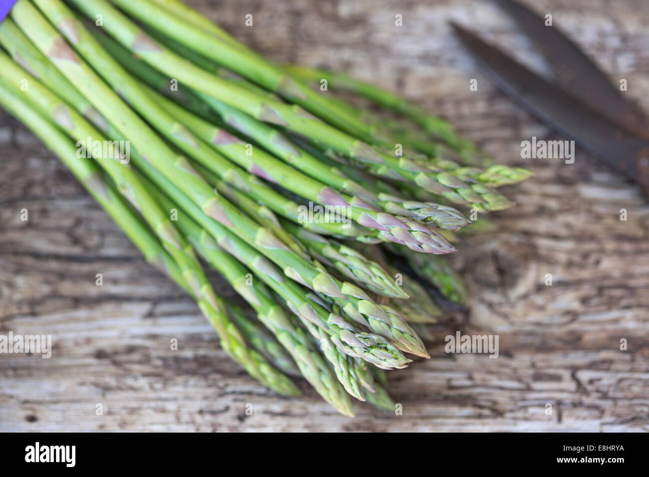 uncooked fine asparagus lying on rustic wood outdoors, with vintage scissors Stock Photo