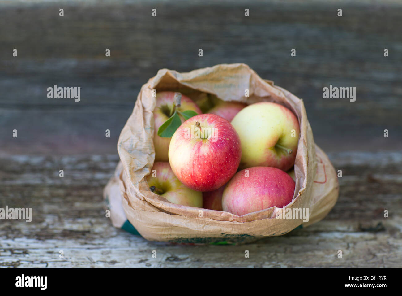 apples, red, green, fruit, autumn, rustic bench, white background, outdoors, in brown paper bag, juicy, fresh, healthy eating, Stock Photo