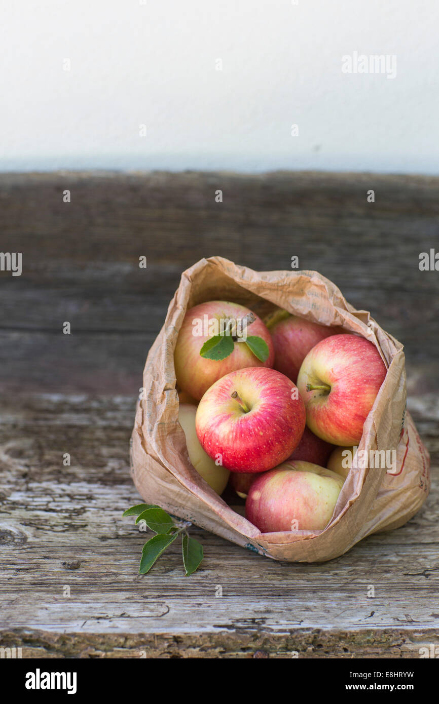 apples, red, green, fruit, autumn, rustic bench, white background, outdoors, in brown paper bag, juicy, fresh, healthy eating, Stock Photo