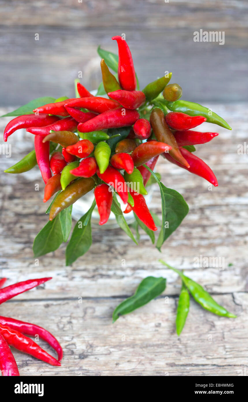 chillis in a glass jar, with string of chillis to left, against rustic wood Stock Photo