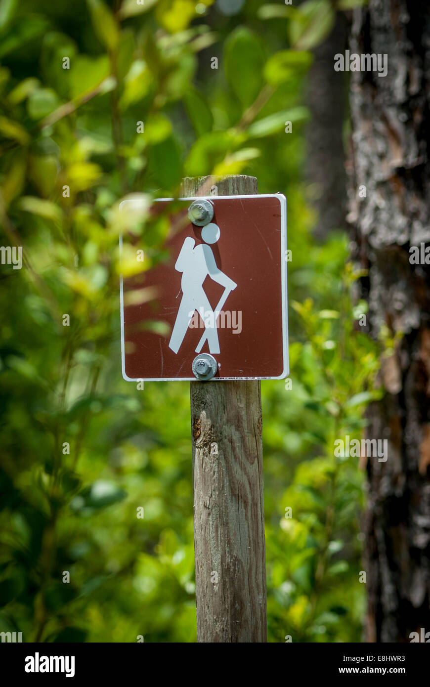 Hiking trail signage in Federal lands . These signs designate hiking trails on Federal public lands throughout the United States Stock Photo