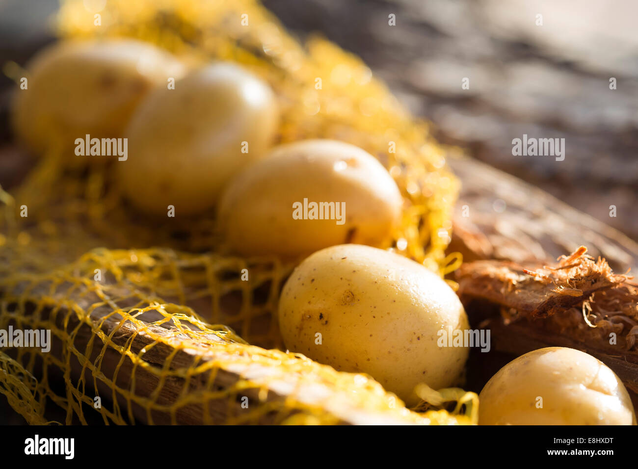 group of whole potatoes on rustic wood within carry net. Stock Photo