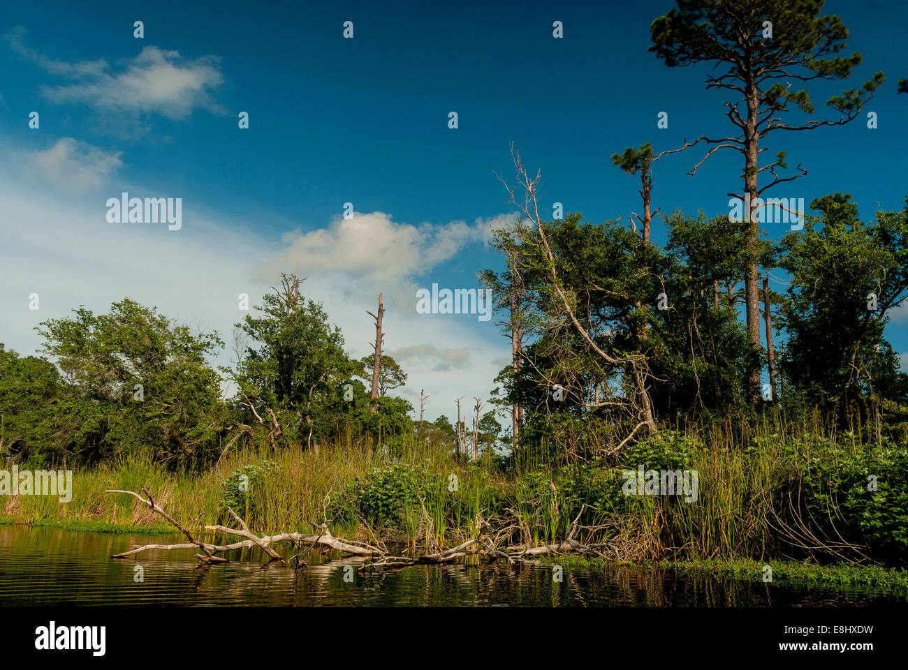 Kayaking in Little Lake in Gulf State Park in Gulf Shores, Alabama
