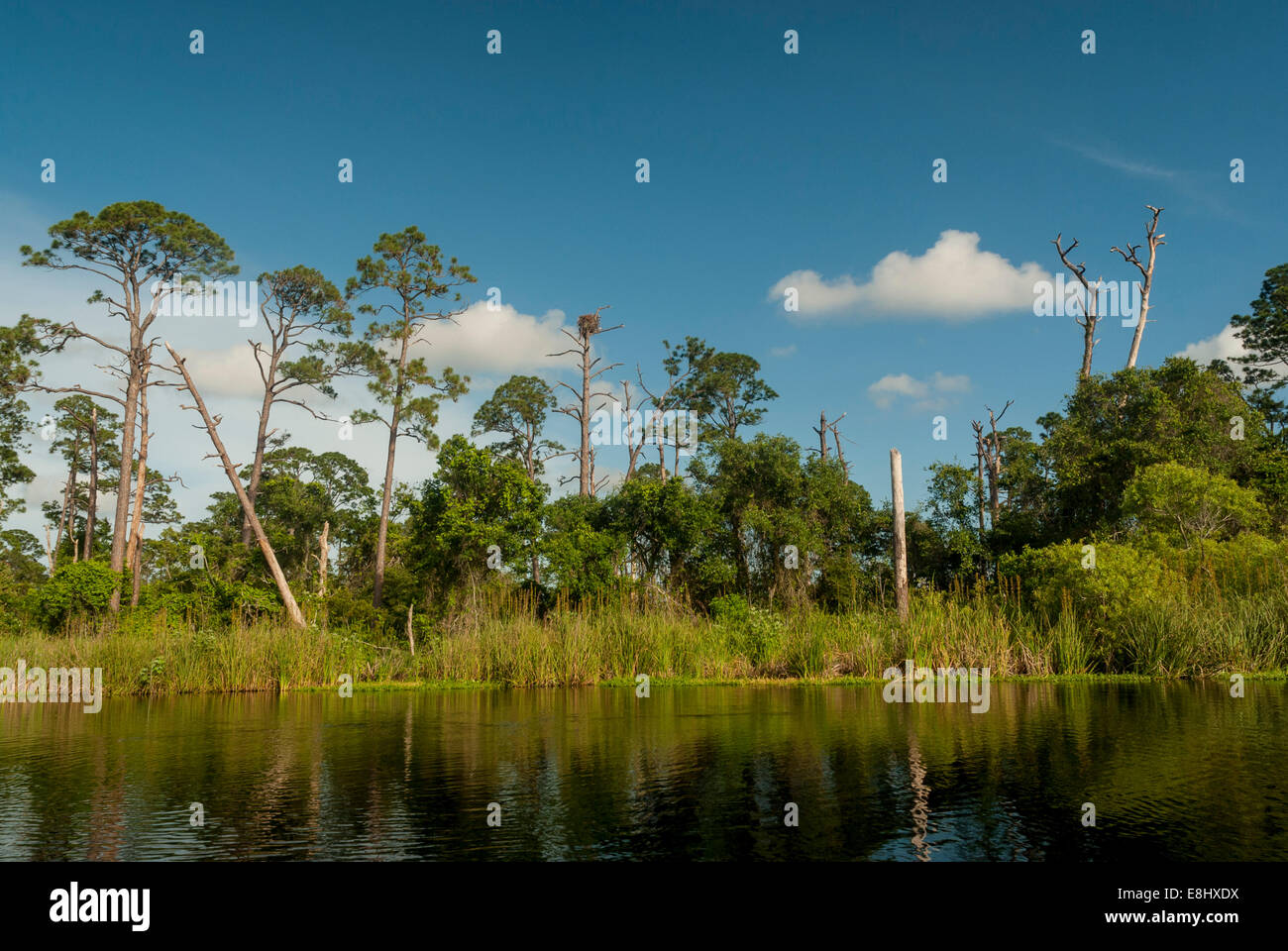 Kayaking in Little Lake in Gulf State Park in Gulf Shores, Alabama