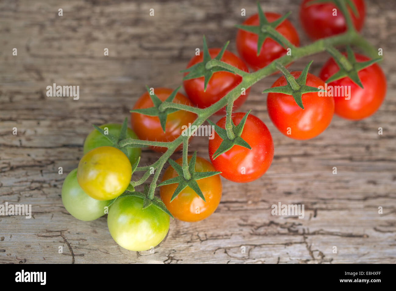 red and green cherry tomatoes on vine against wood from above Stock Photo