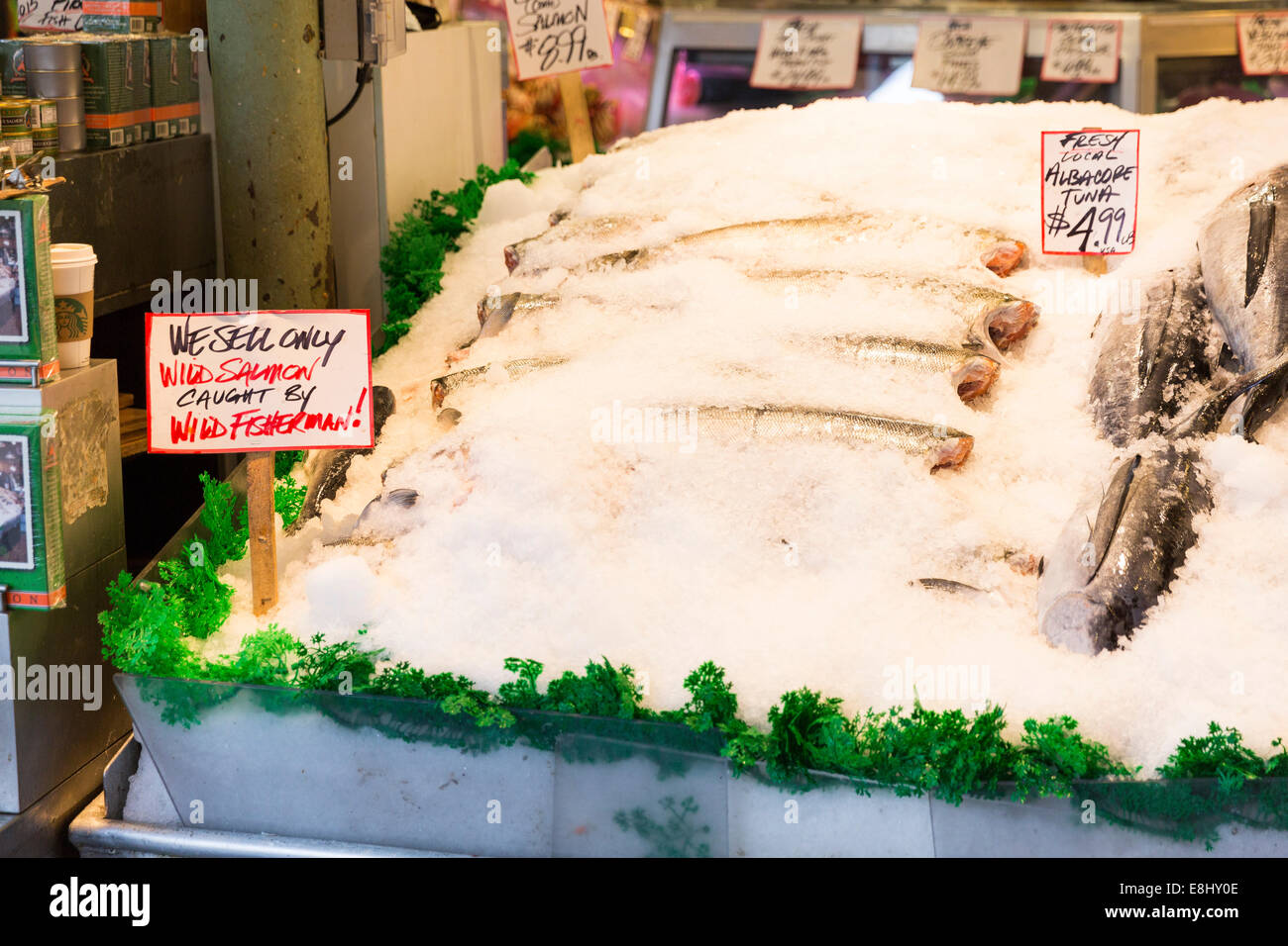 Wild caught albacore tuna on the display at the world famous Pike Place Fish Market stand Seattle, Washington, USA Stock Photo