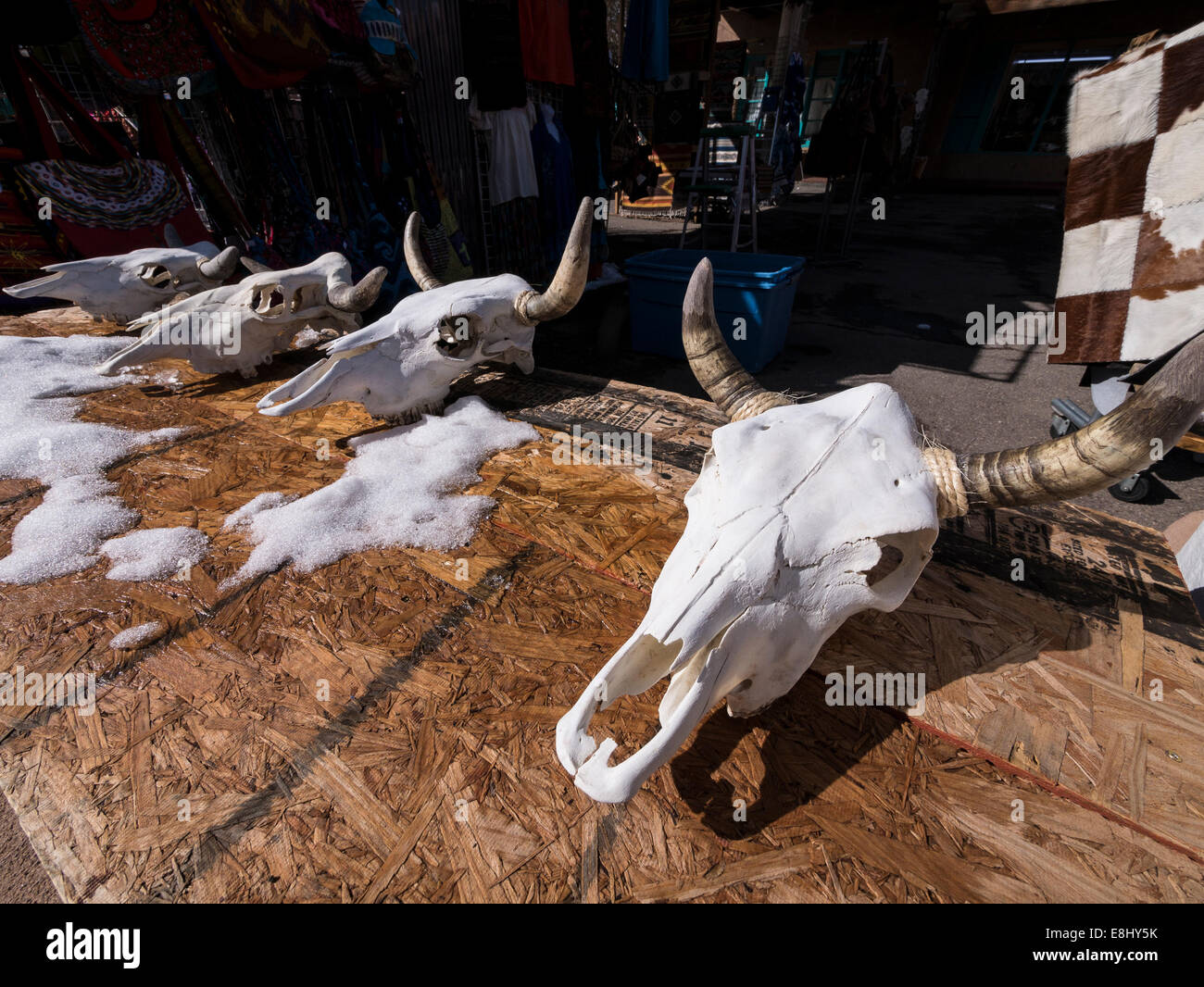 Steer skulls, shop in downtown Santa Fe, New Mexico. Stock Photo