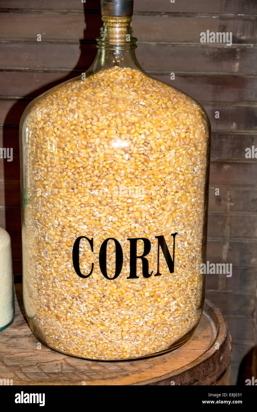 Corn an ingredient need for making whiskey Stock Photo Alamy