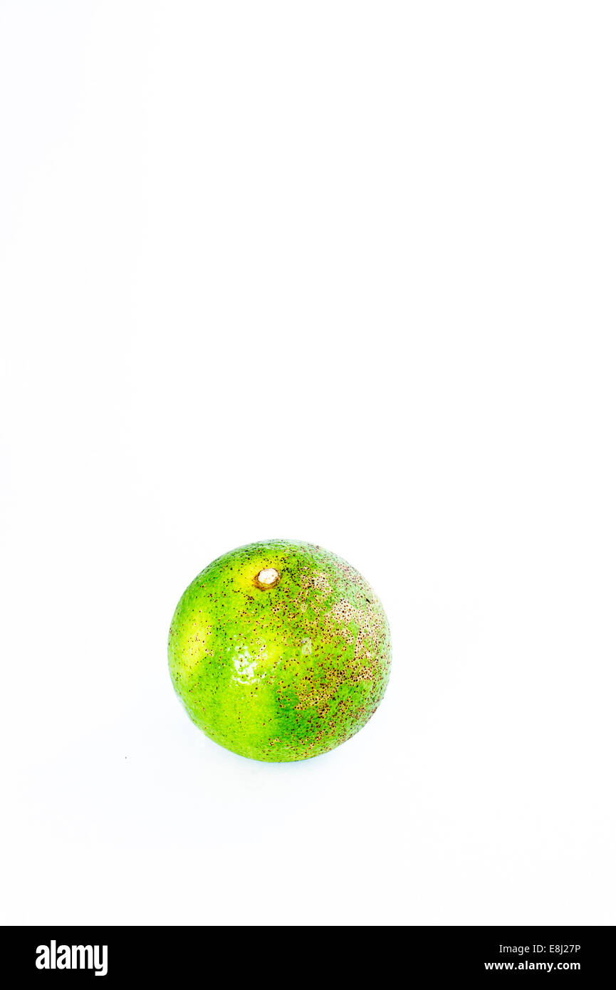 Japanese kabosu citrus (Citrus sphaerocarpa) on a white background