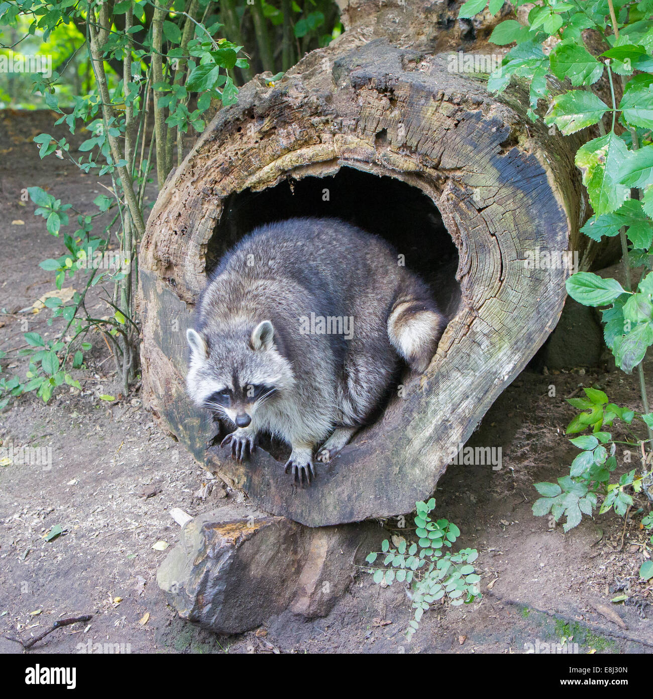 My Image 9