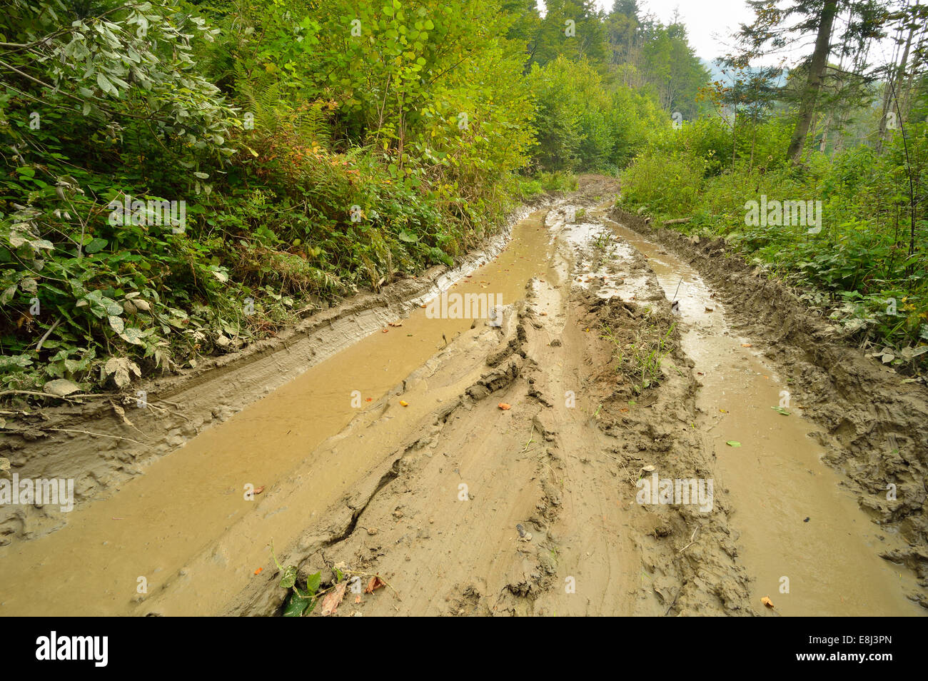 Extreme off road 4x4 muddy way through European forest. Poland. Stock Photo