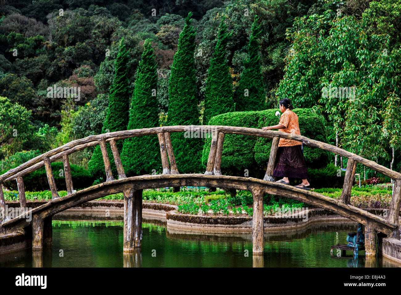 Arched bridge over a small pond on the Doi Inthanon mountain, Doi Inthanon National Park, Chiang Mai Province, Thailand Stock Photo