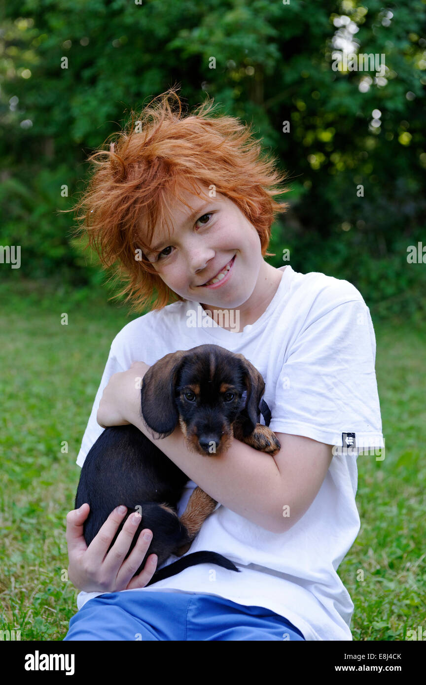 Boy holding wire-haired dachshund puppy in his arms, Germany Stock Photo