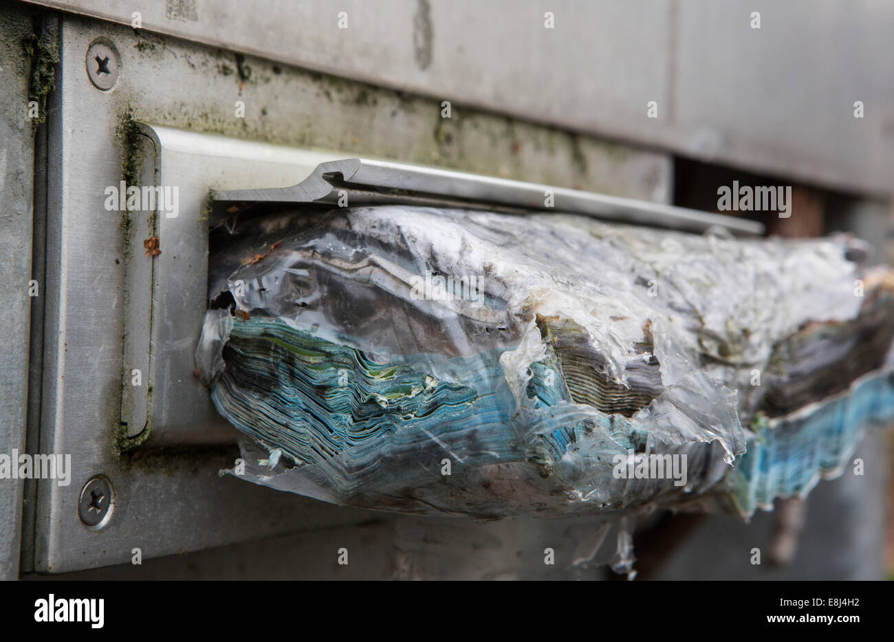 Mail rotting in a letterbox, Cologne, North Rhine-Westphalia, Germany Stock Photo