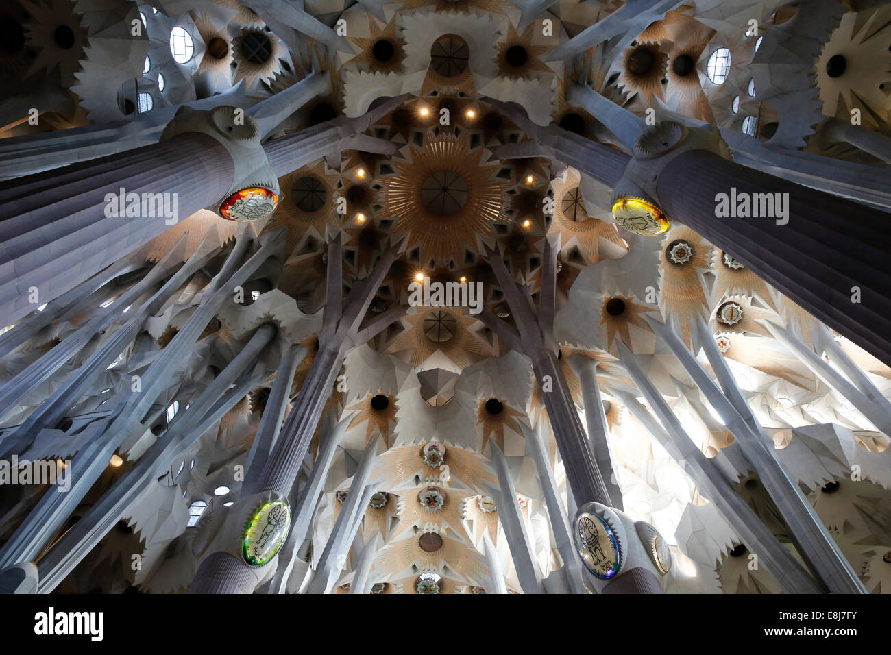 Sagrada Familia basilica pillars and ceiling Stock Photo - Alamy