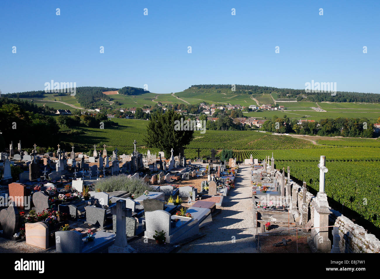 Mercurey has 650 ha of vineyards and is the most important viticultural community in Burgundy. The cemetery. Stock Photo