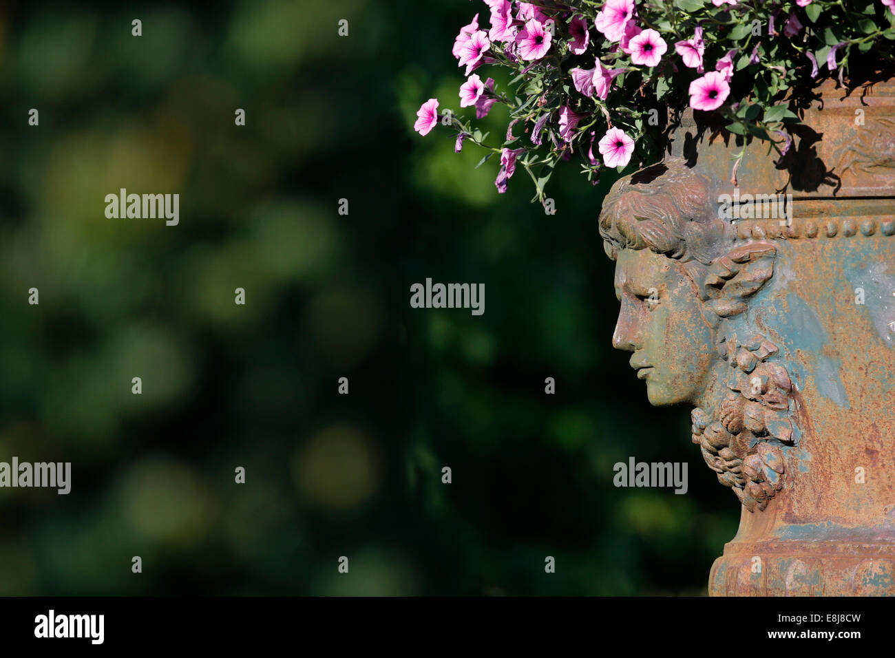 Bowl of flowers. Stock Photo