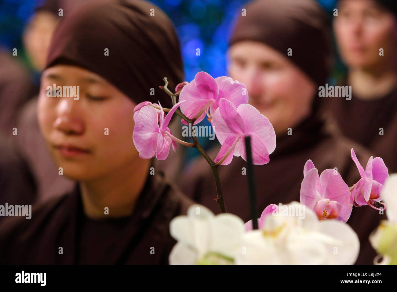 Buddhist nuns meditating Stock Photo Alamy