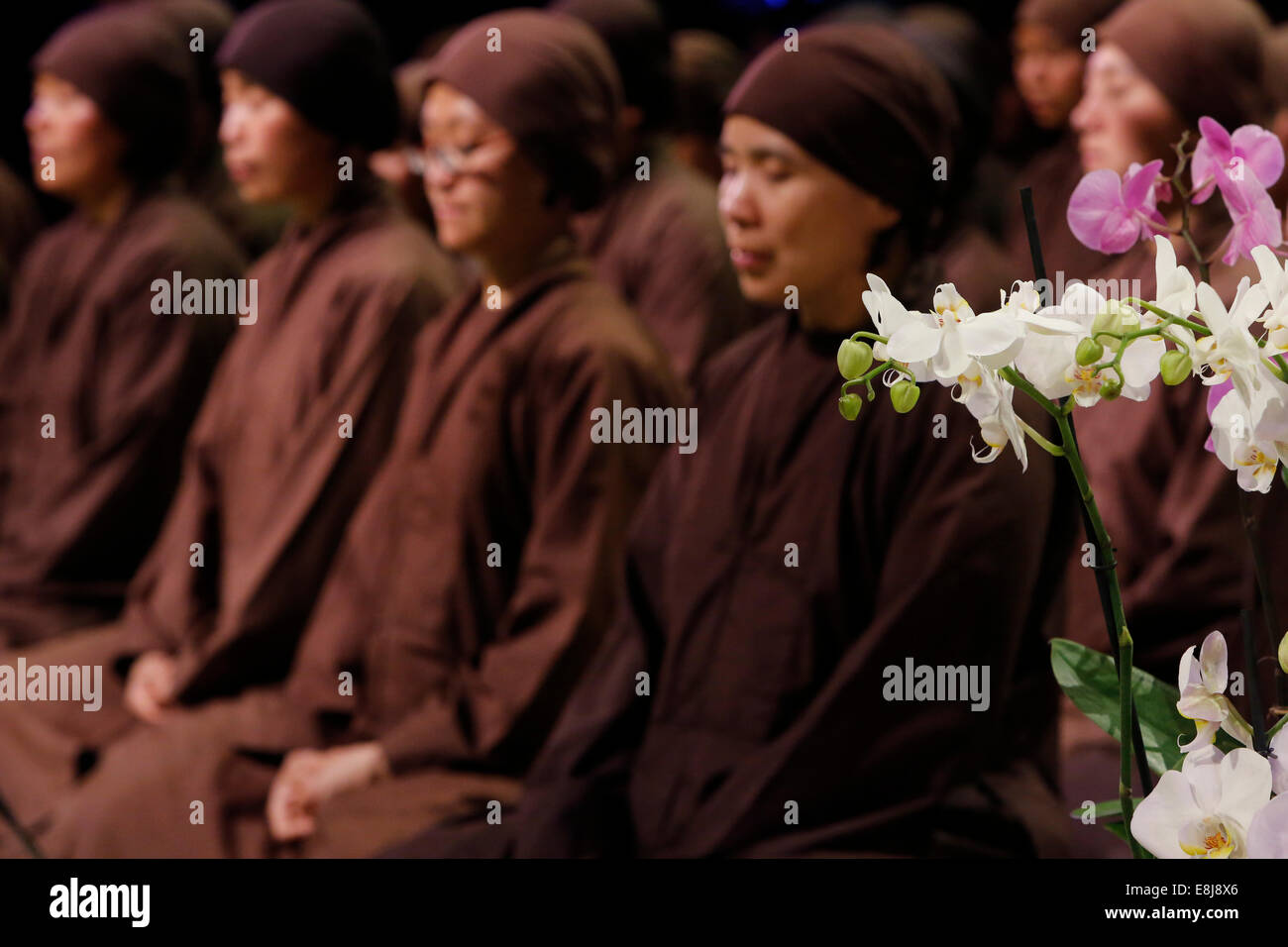 Buddhist nuns meditating Stock Photo Alamy