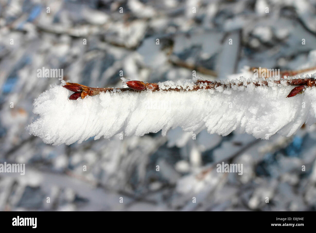 Winter Stock Photo