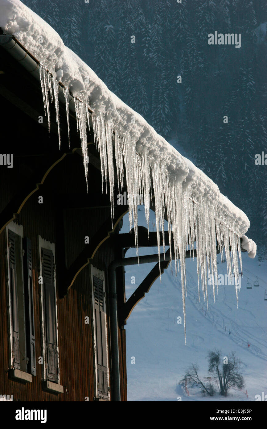 Icicles Stock Photo