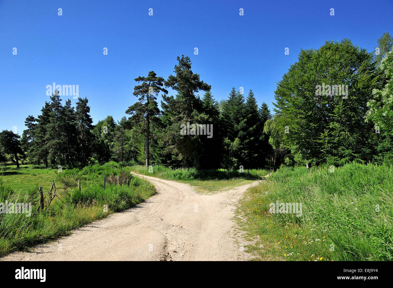 Path in the countryside Stock Photo - Alamy