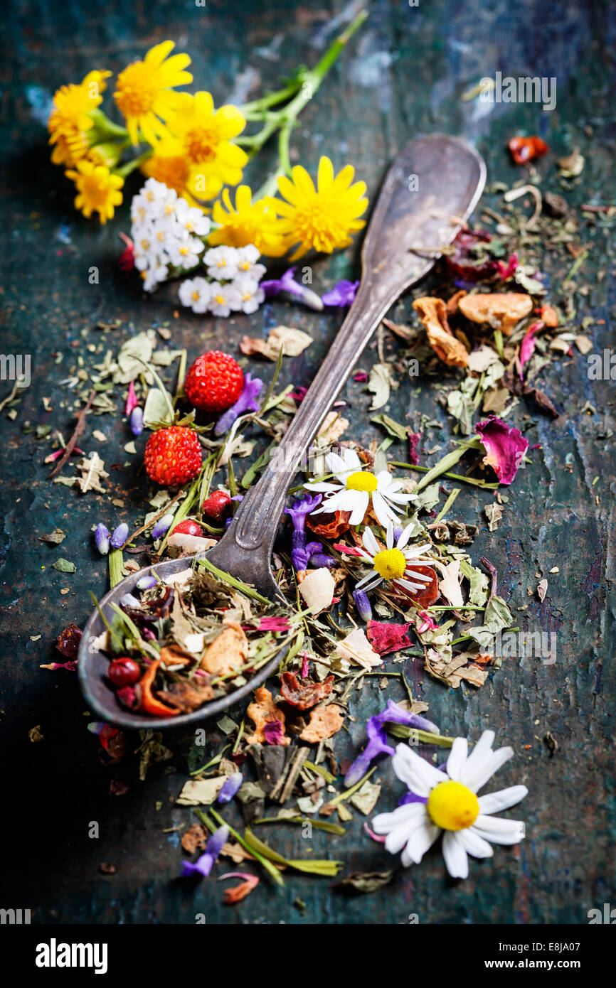 Herbal tea with wild flowers and berry on wooden background - bio food, health and diet concept Stock Photo