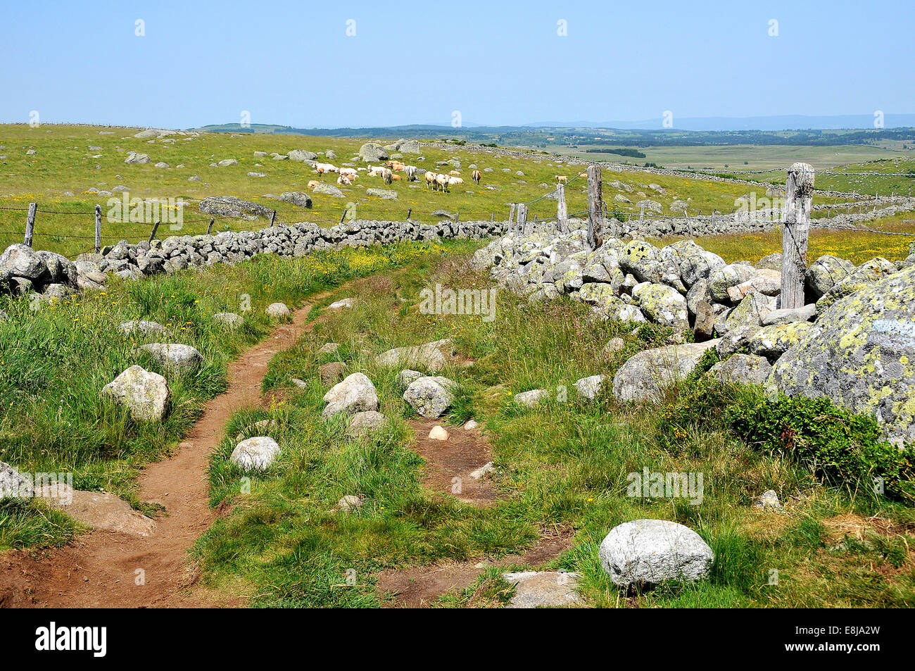 Path in the countryside Stock Photo - Alamy