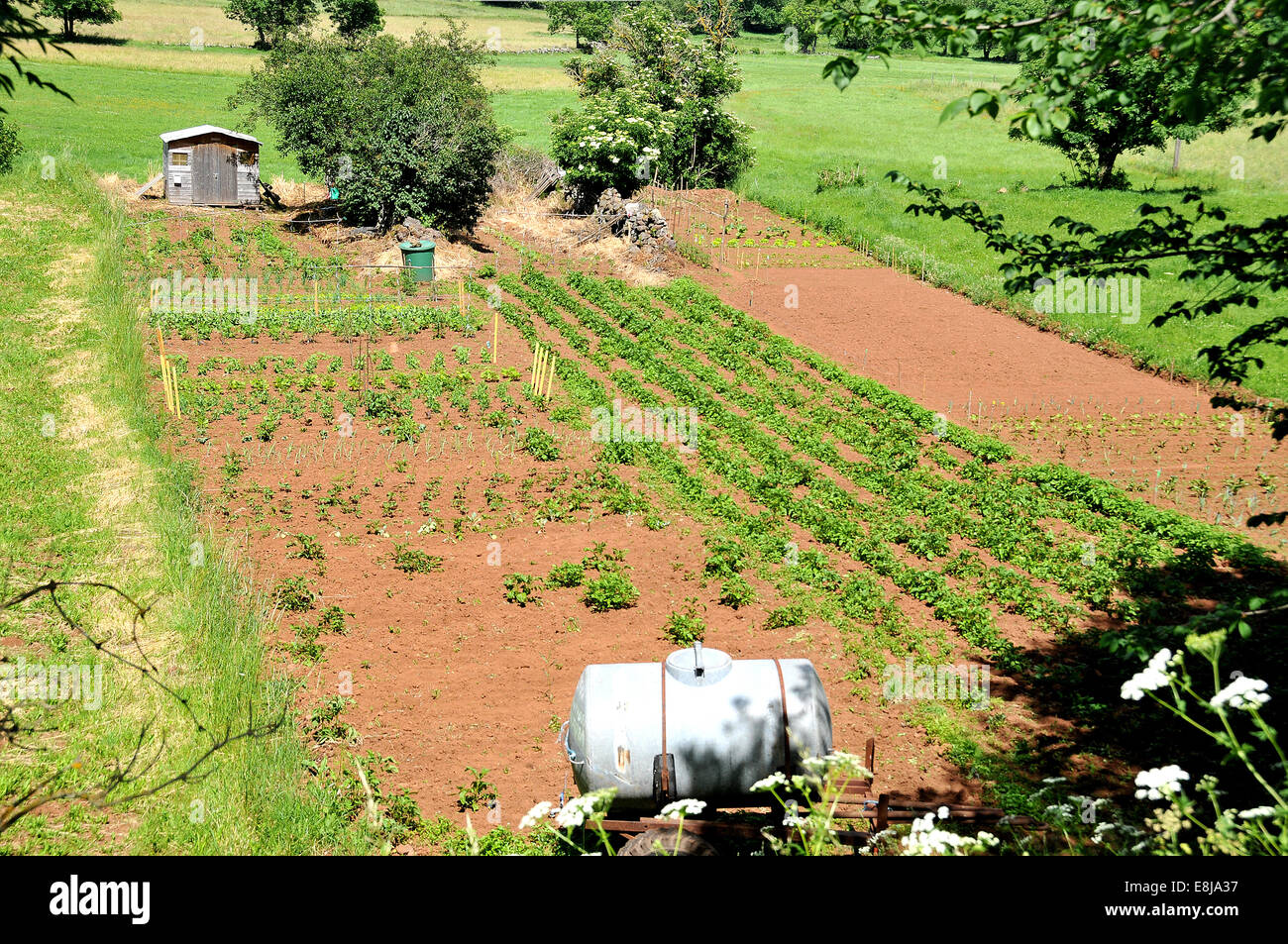 Vegetable plot at the edge of a village. Stock Photo