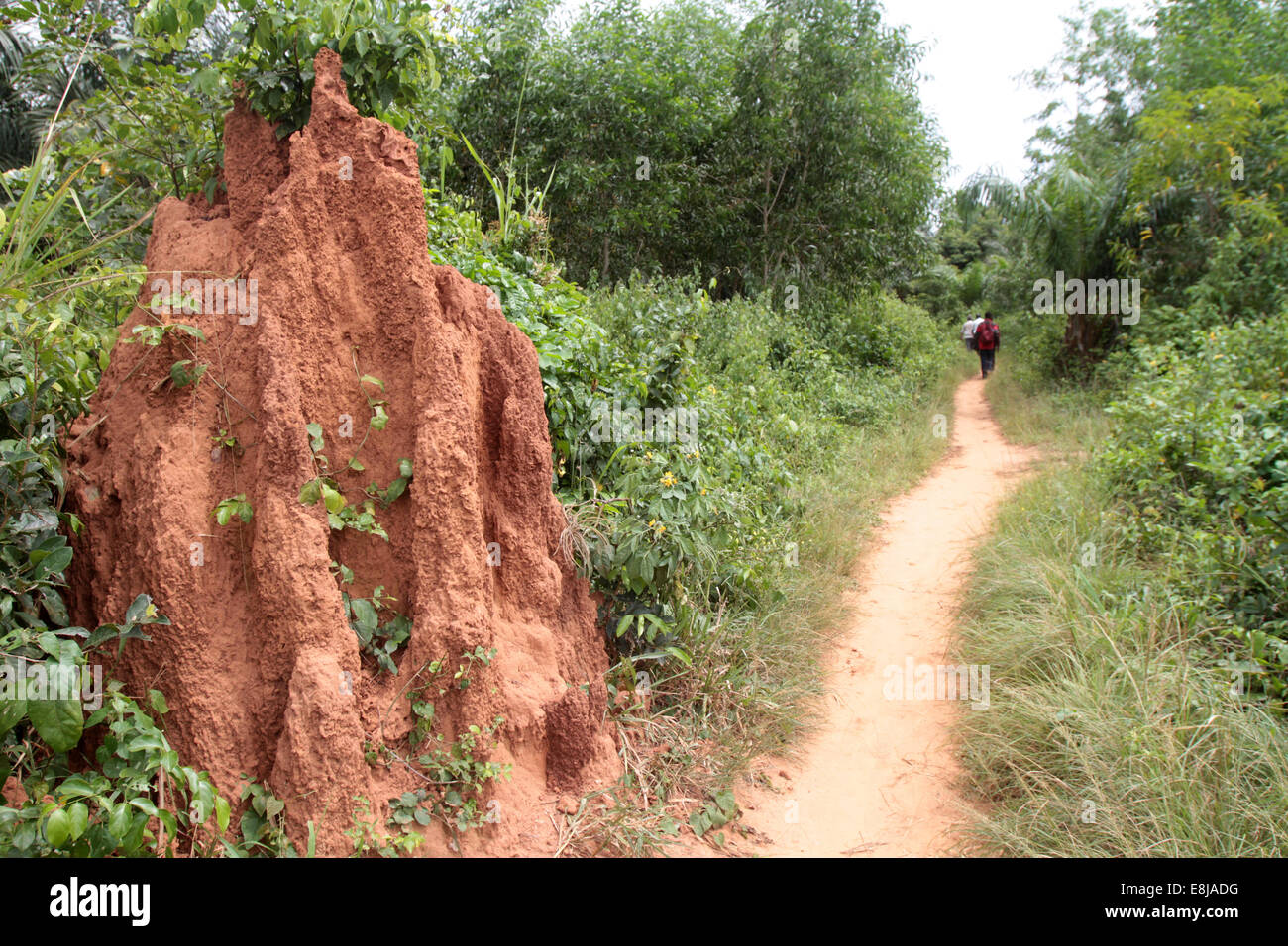 Path Stock Photo