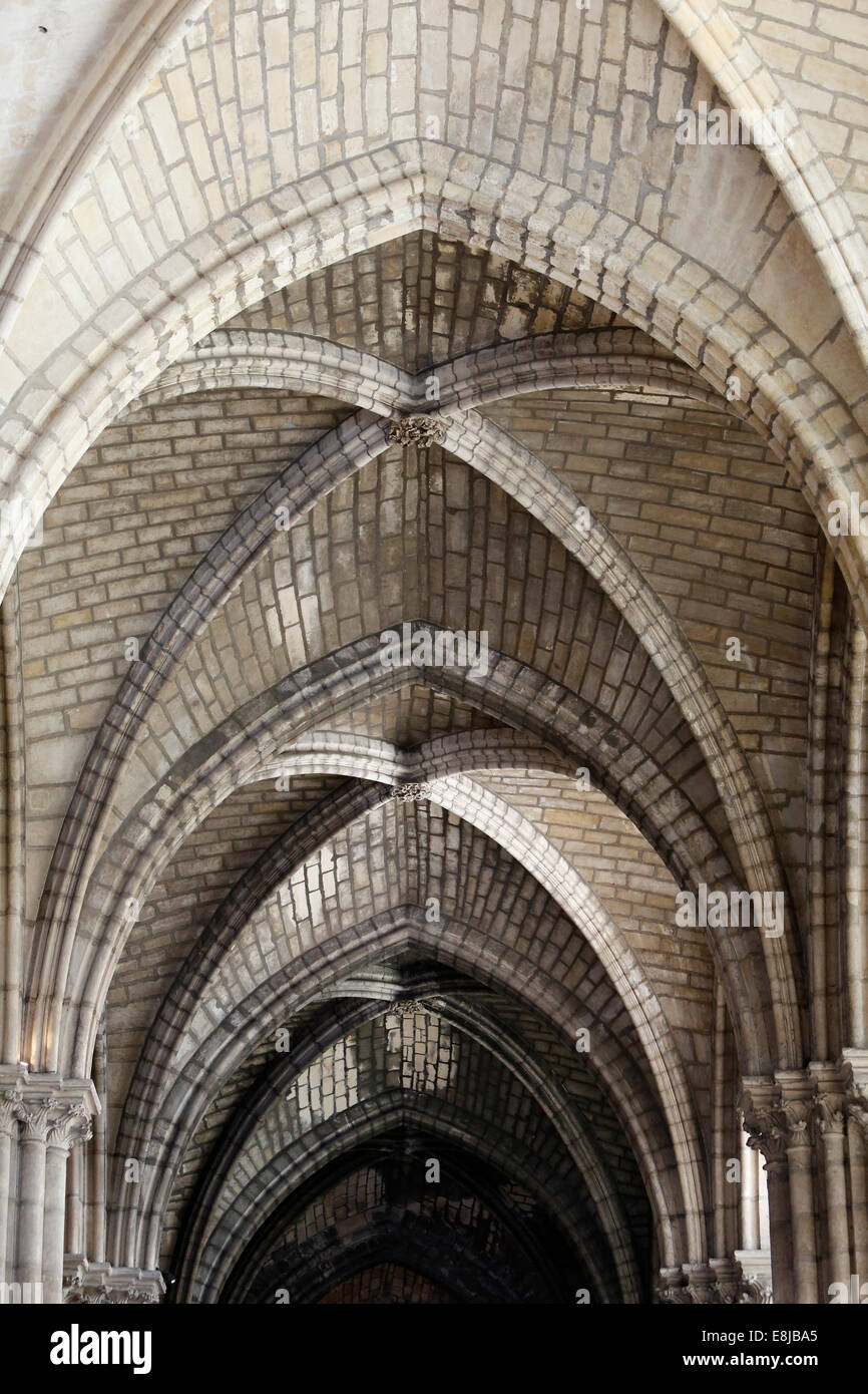 Rib Vault Architecture