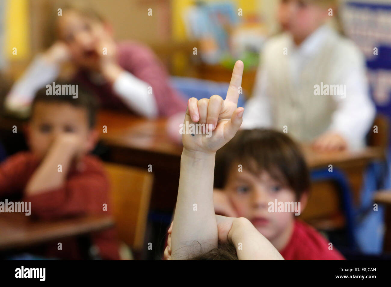 Primary hi-res stock photography and images - Alamy