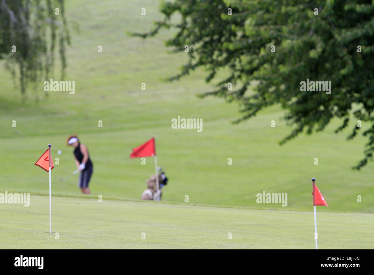 Golf course. Stock Photo