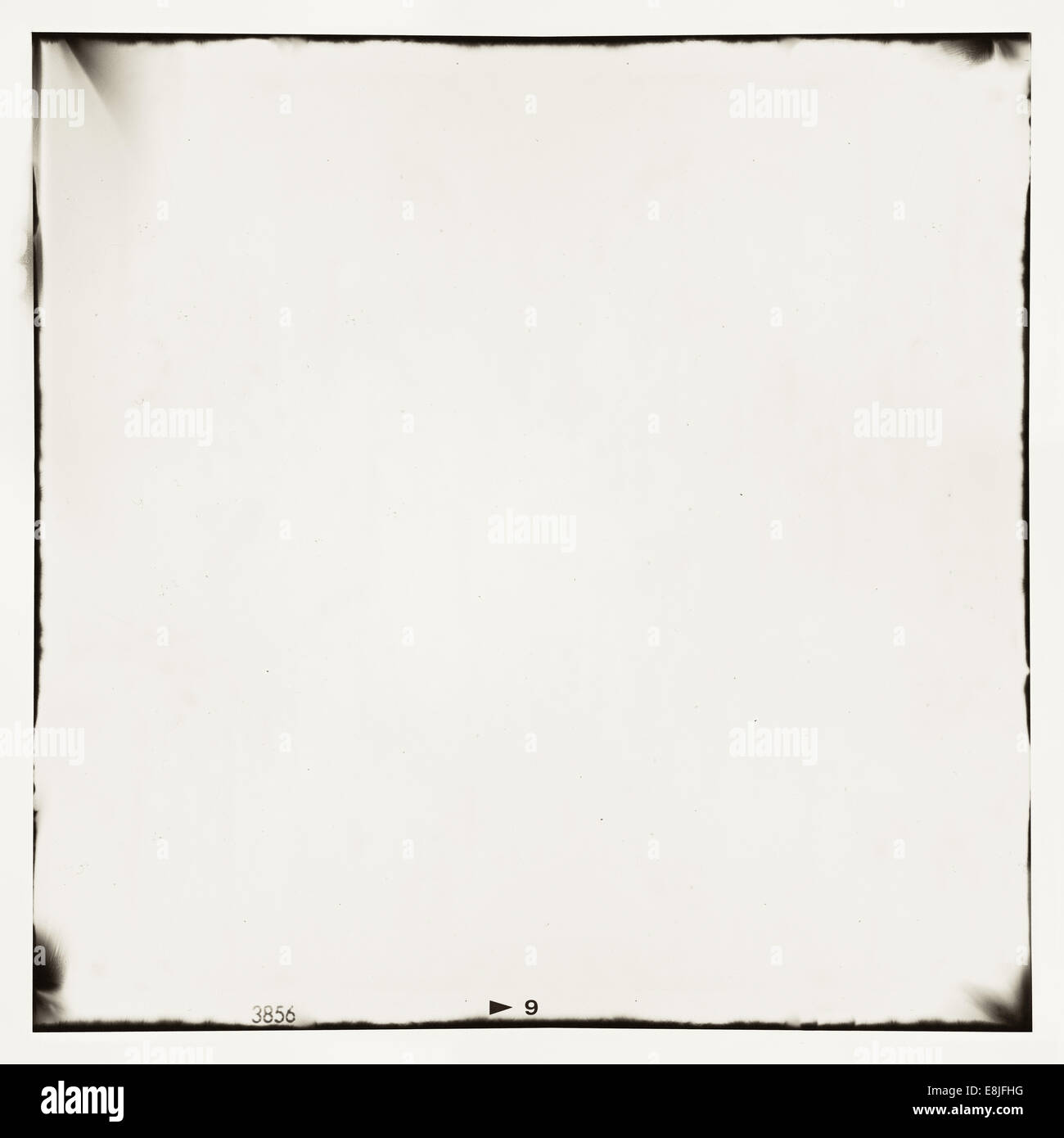 medium format film frame background. Texture contains grain, dust and