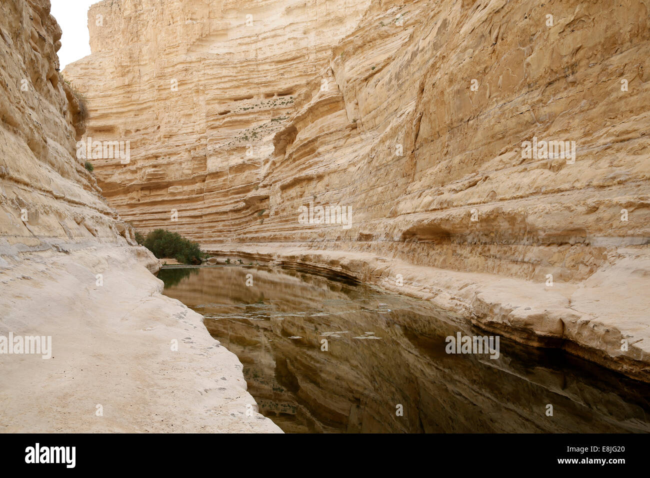 Ein Avdat Canyon, Negev Desert. Stock Photo