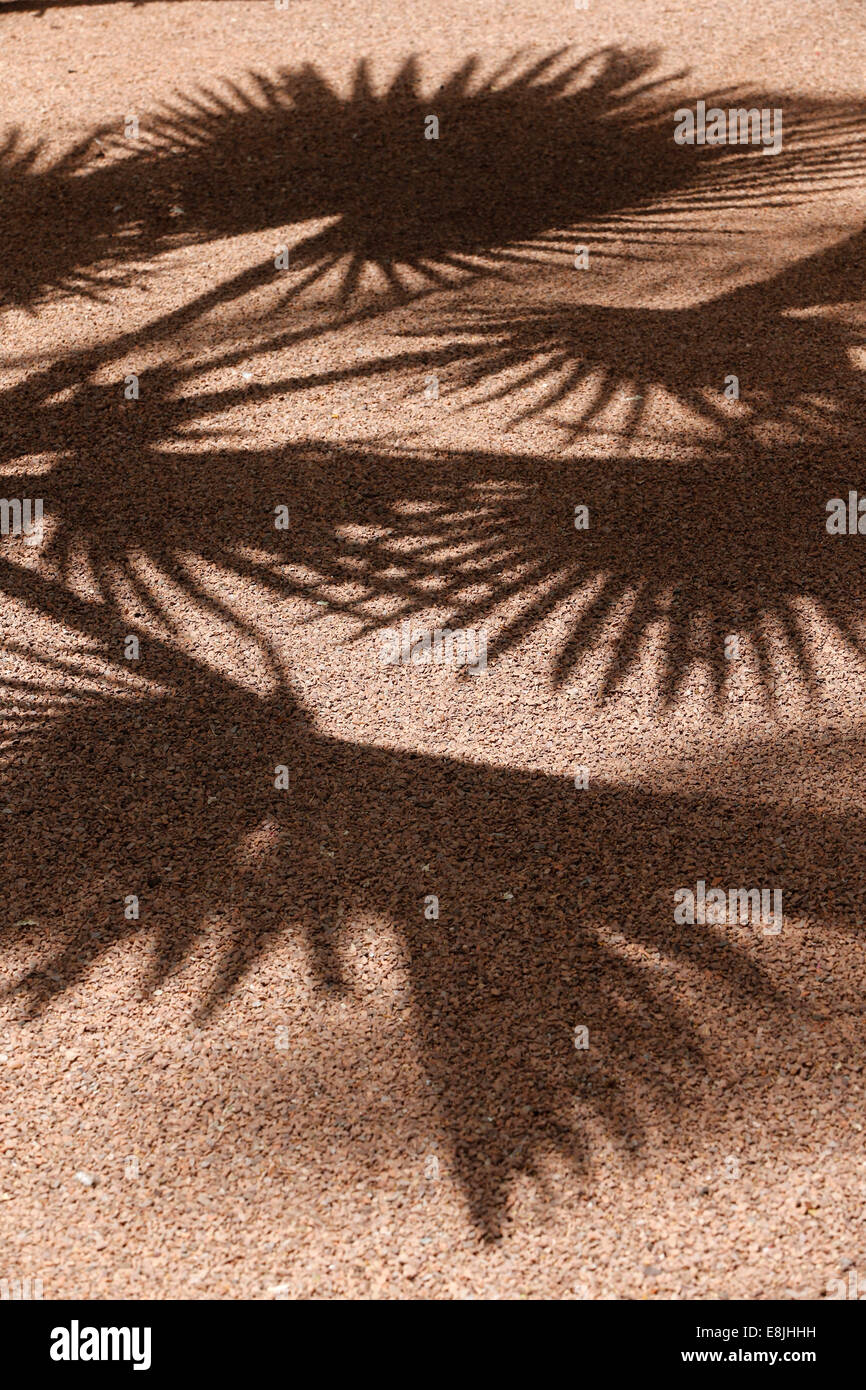 Majorelle Gardens. Stock Photo