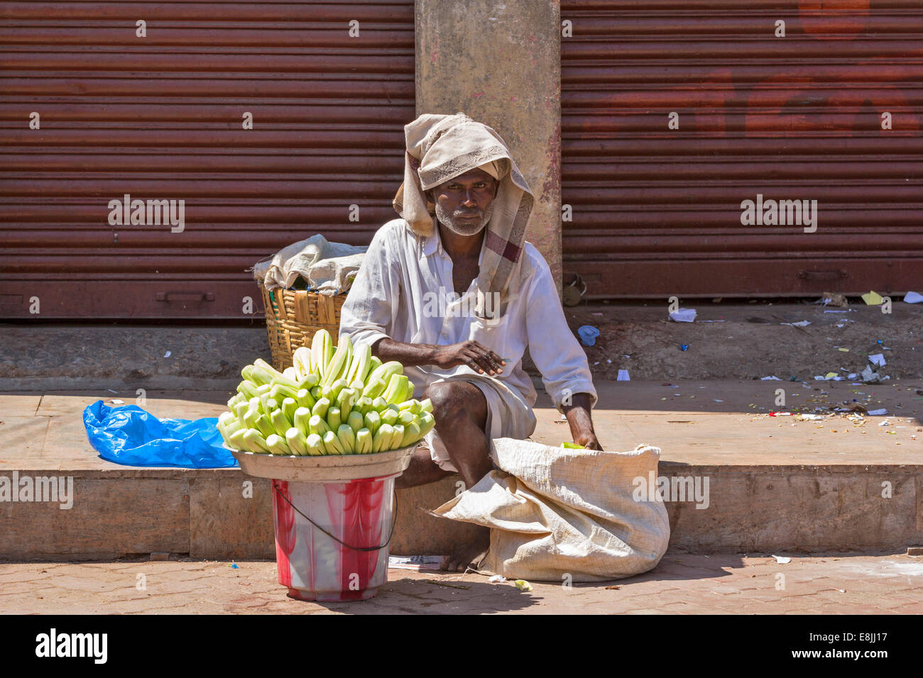 STREET SELLER INDIA  WITH CARVED CUCUMBERS FOR SALE Stock Photo