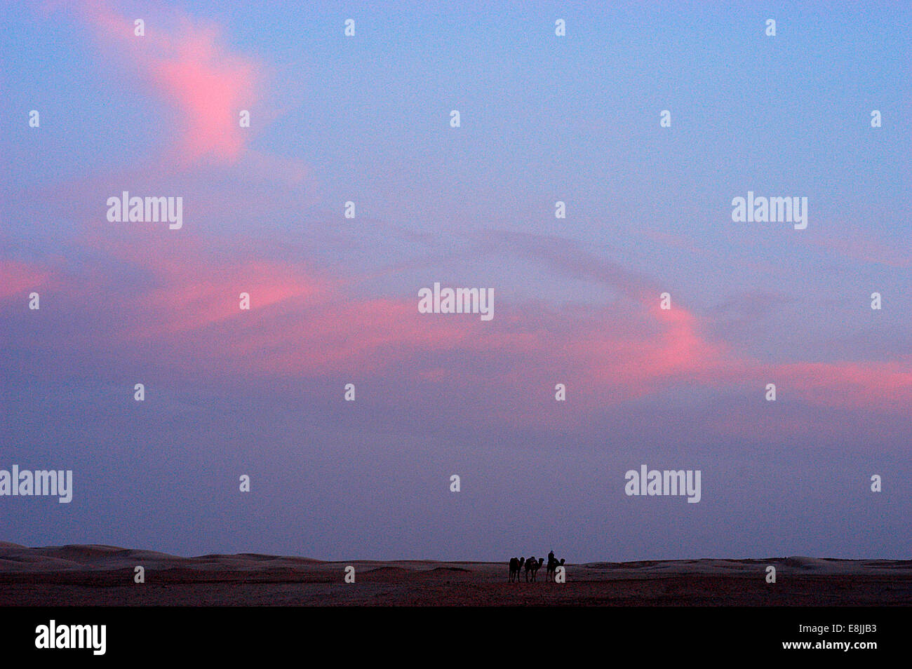 Dusk in the Sahara Stock Photo