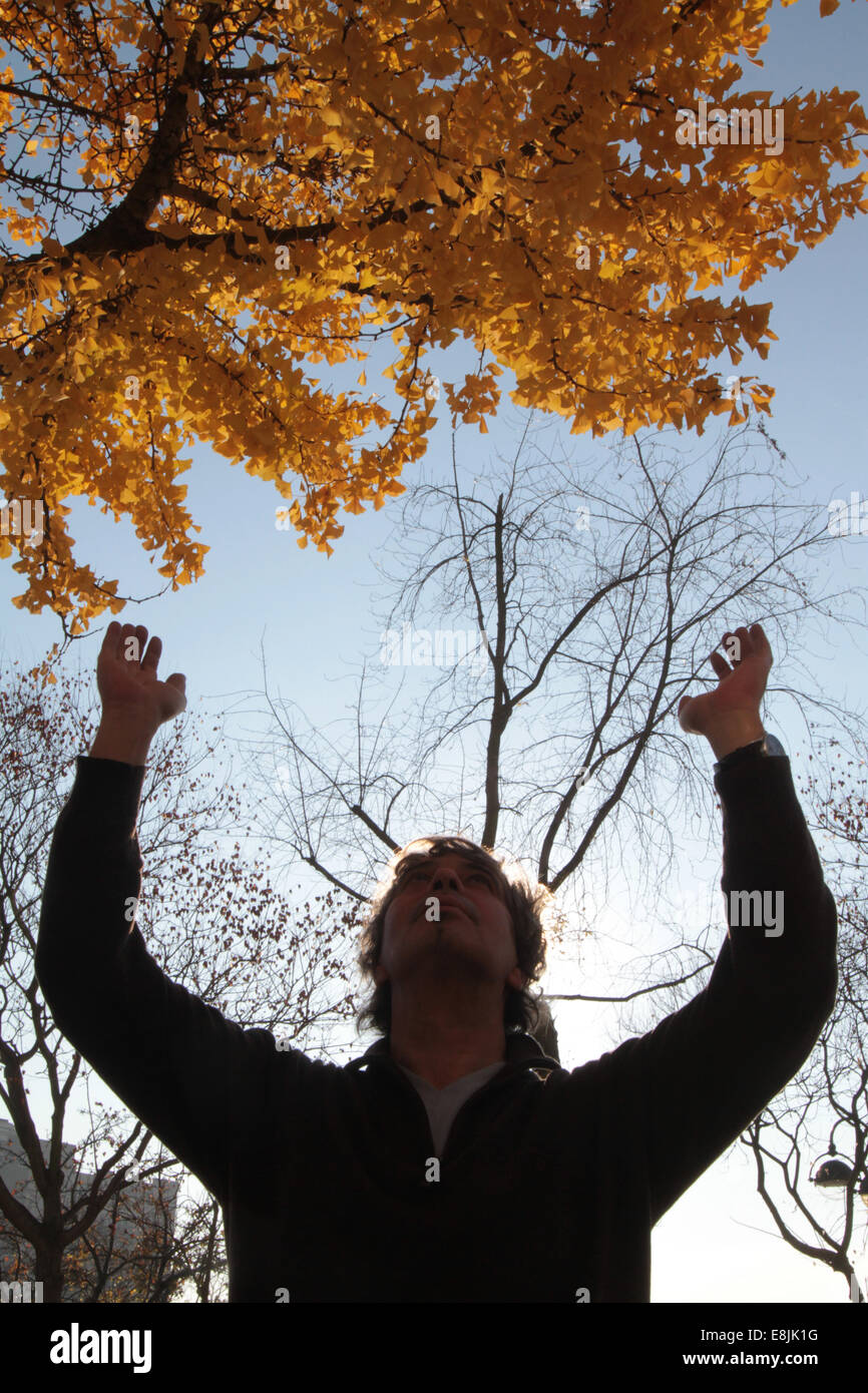 Man meditating arms in the air under a tree. Stock Photo