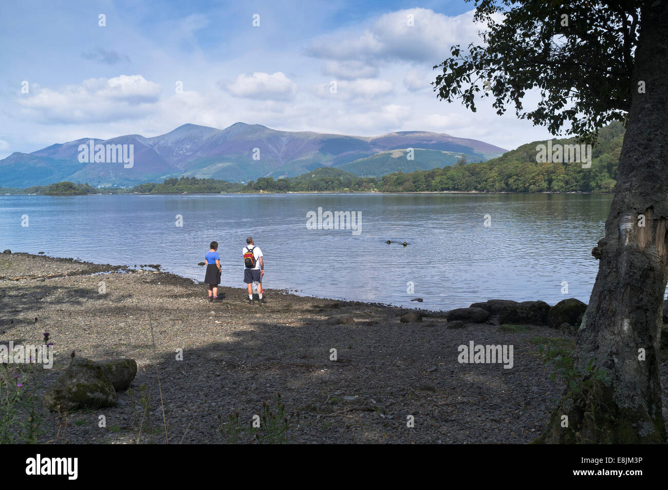 dh National park england DERWENT WATER LAKE DISTRICT Couple tourist walkers dogs swimming uk dog cumbria people Stock Photo